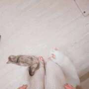 ヒメ日記 2026/04/04 21:28 投稿 六華-りっか- フォーシーズン