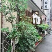 ヒメ日記 2026/06/18 14:38 投稿 六華-りっか- フォーシーズン