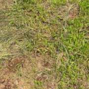 ヒメ日記 2026/06/19 13:38 投稿 六華-りっか- フォーシーズン