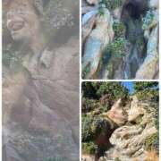 ヒメ日記 2024/12/17 21:07 投稿 本宮みのり 彩タマンサ（埼玉ハレ系）