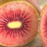 ヒメ日記 2025/03/24 16:26 投稿 本宮みのり 彩タマンサ（埼玉ハレ系）