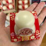 ヒメ日記 2025/12/11 14:11 投稿 本宮みのり 彩タマンサ（埼玉ハレ系）