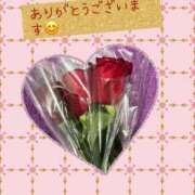 ヒメ日記 2025/01/21 15:12 投稿 あるみ ワンダフル