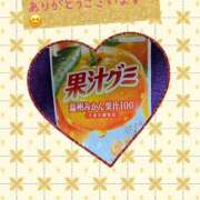 ヒメ日記 2025/06/12 09:18 投稿 あるみ ワンダフル