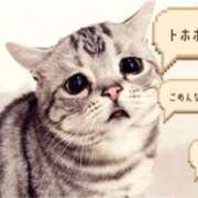 ヒメ日記 2025/04/10 14:59 投稿 みか 熟女の風俗最終章 新宿店