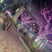 ヒメ日記 2025/12/22 16:22 投稿 みか 熟女の風俗最終章 新宿店