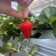 ヒメ日記 2025/05/27 15:02 投稿 あやか 熟女の風俗最終章 新宿店