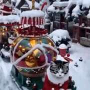 ヒメ日記 2024/12/24 19:48 投稿 わか 熟女の風俗最終章 新宿店