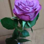 ヒメ日記 2025/04/07 11:45 投稿 しおん 熟女の風俗最終章 新宿店