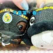 ヒメ日記 2025/05/04 14:02 投稿 しおん 熟女の風俗最終章 新宿店