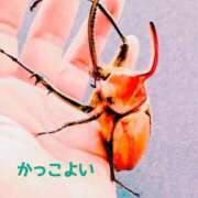 ヒメ日記 2025/05/29 11:37 投稿 しおん 熟女の風俗最終章 新宿店