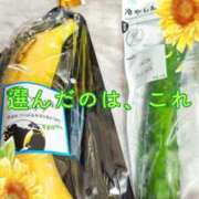 ヒメ日記 2025/07/03 07:32 投稿 しおん 熟女の風俗最終章 新宿店