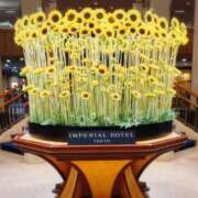 ヒメ日記 2025/07/13 14:22 投稿 しおん 熟女の風俗最終章 新宿店