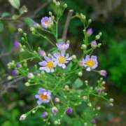 ヒメ日記 2025/09/05 20:01 投稿 しおん 熟女の風俗最終章 新宿店