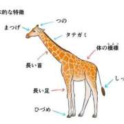 ヒメ日記 2025/09/05 21:34 投稿 しおん 熟女の風俗最終章 新宿店