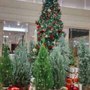 ヒメ日記 2025/11/13 03:32 投稿 しおん 熟女の風俗最終章 新宿店