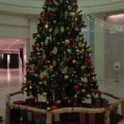 ヒメ日記 2025/11/24 09:14 投稿 しおん 熟女の風俗最終章 新宿店