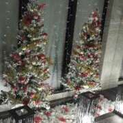 ヒメ日記 2025/12/21 15:22 投稿 しおん 熟女の風俗最終章 新宿店