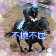 ヒメ日記 2026/02/06 00:52 投稿 しおん 熟女の風俗最終章 新宿店