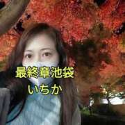 ヒメ日記 2024/12/28 12:04 投稿 いちか 熟女の風俗最終章 新宿店