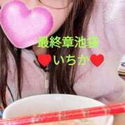 ヒメ日記 2024/12/31 22:22 投稿 いちか 熟女の風俗最終章 新宿店