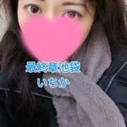 ヒメ日記 2025/01/31 11:22 投稿 いちか 熟女の風俗最終章 新宿店