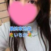 ヒメ日記 2025/02/03 09:42 投稿 いちか 熟女の風俗最終章 新宿店