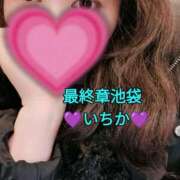ヒメ日記 2025/03/07 12:26 投稿 いちか 熟女の風俗最終章 新宿店