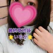 ヒメ日記 2025/03/20 09:50 投稿 いちか 熟女の風俗最終章 新宿店