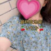 ヒメ日記 2025/07/26 11:03 投稿 いちか 熟女の風俗最終章 新宿店