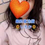 ヒメ日記 2025/09/16 15:22 投稿 いちか 熟女の風俗最終章 新宿店