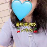 ヒメ日記 2025/09/17 13:41 投稿 いちか 熟女の風俗最終章 新宿店