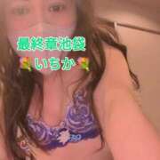 ヒメ日記 2025/11/10 15:22 投稿 いちか 熟女の風俗最終章 新宿店