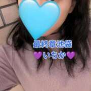 ヒメ日記 2025/11/19 11:05 投稿 いちか 熟女の風俗最終章 新宿店