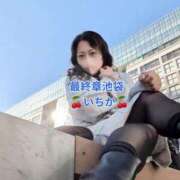 ヒメ日記 2025/12/17 08:52 投稿 いちか 熟女の風俗最終章 新宿店