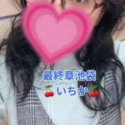 ヒメ日記 2026/02/01 11:52 投稿 いちか 熟女の風俗最終章 新宿店