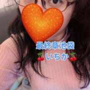 ヒメ日記 2026/02/18 11:34 投稿 いちか 熟女の風俗最終章 新宿店