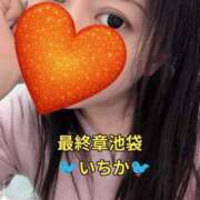 ヒメ日記 2026/06/12 03:44 投稿 いちか 熟女の風俗最終章 新宿店