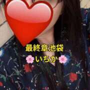 ヒメ日記 2026/07/03 10:56 投稿 いちか 熟女の風俗最終章 新宿店
