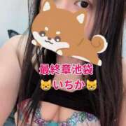 ヒメ日記 2026/07/05 05:42 投稿 いちか 熟女の風俗最終章 新宿店