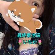 ヒメ日記 2026/07/05 10:02 投稿 いちか 熟女の風俗最終章 新宿店