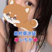 ヒメ日記 2026/07/11 11:42 投稿 いちか 熟女の風俗最終章 新宿店