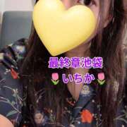 ヒメ日記 2026/07/23 12:42 投稿 いちか 熟女の風俗最終章 新宿店