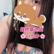 ヒメ日記 2026/07/24 15:09 投稿 いちか 熟女の風俗最終章 新宿店