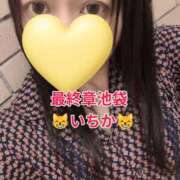 ヒメ日記 2026/08/06 12:03 投稿 いちか 熟女の風俗最終章 新宿店