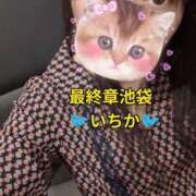 ヒメ日記 2026/08/25 15:42 投稿 いちか 熟女の風俗最終章 新宿店