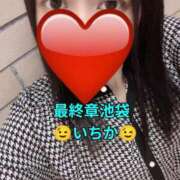 ヒメ日記 2026/08/29 14:22 投稿 いちか 熟女の風俗最終章 新宿店