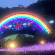 ヒメ日記 2024/12/15 23:22 投稿 まりも 熟女の風俗最終章 新宿店