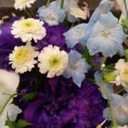 ヒメ日記 2025/06/07 13:42 投稿 まりも 熟女の風俗最終章 新宿店