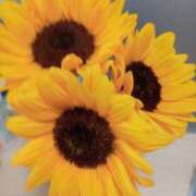 ヒメ日記 2025/07/23 11:08 投稿 まりも 熟女の風俗最終章 新宿店